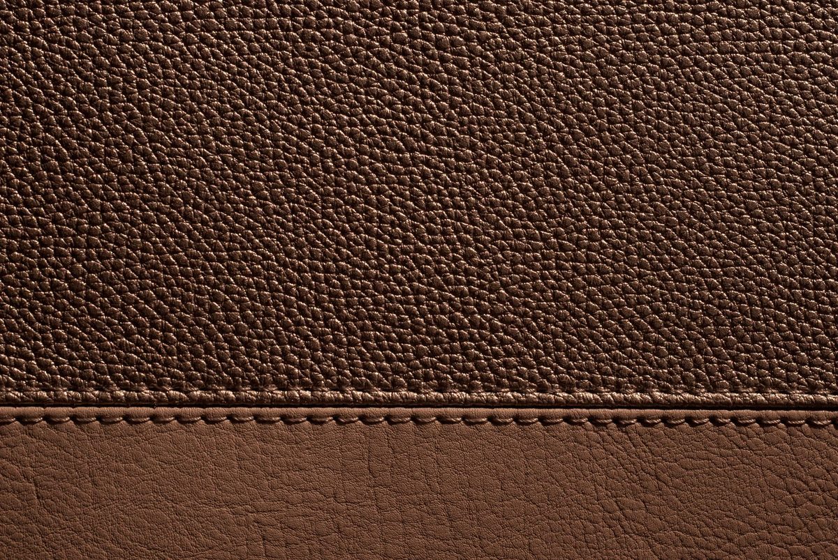 Textura de la piel